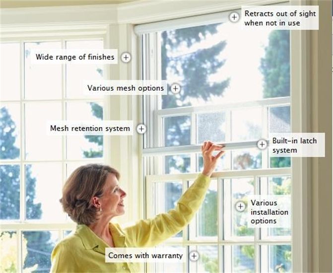 Screen Windows Screening Solutions Ohio